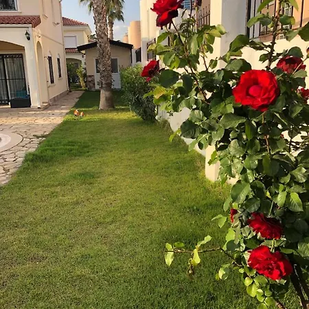 Muestakil Havuzlu Villa Villa *